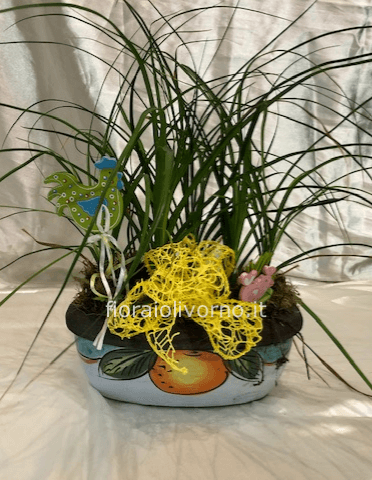 Composizione di piante grasse compreso vaso opp. cestino